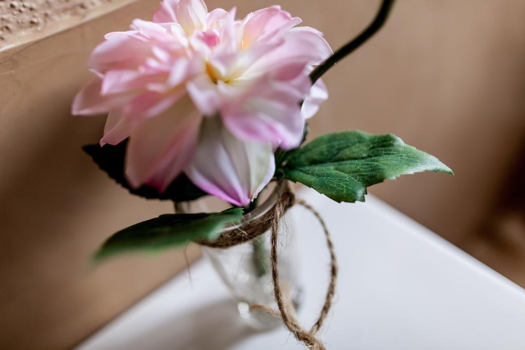 Estanca La Pau - Adults Only Guest House Malla ภายนอก รูปภาพ